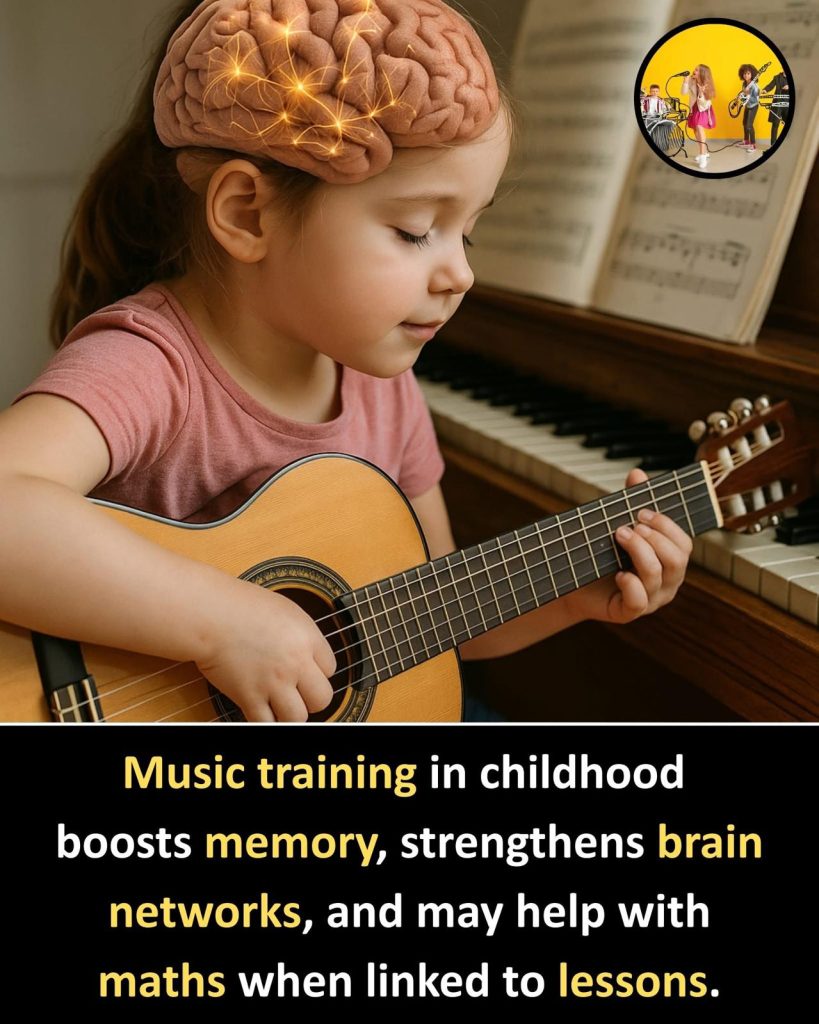 Corsi di musica per bambini – Civica Scuola delle Arti